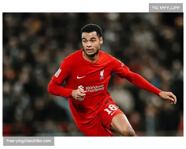 利物浦前场攻击组合多变 加克波恩古莫哈竞争左边锋